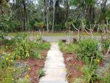 109 Fern Drive - Photo 4
