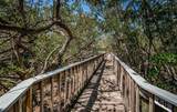 4801 Osprey Drive - Photo 44