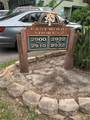 2910 Lichen Lane - Photo 2