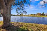 5950 Pelican Bay Plaza - Photo 78