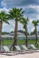 10612 Strawberry Tetra Drive - Photo 91