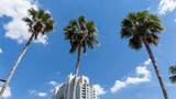 700 Harbour Island Boulevard - Photo 21