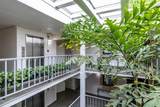 3325 Bayshore Boulevard - Photo 7