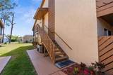 4424 Pelorus Drive - Photo 3