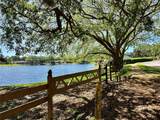 3000 Tangerine Terrace - Photo 41