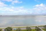 4141 Bayshore Boulevard - Photo 54
