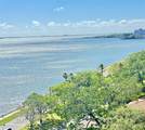 4141 Bayshore Boulevard - Photo 22