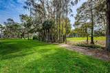 36750 Us 19 - Photo 50