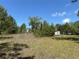1882 Bellamy Road - Photo 43