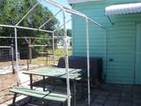 39607 Sterling Drive - Photo 35