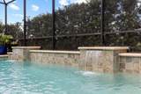 31382 Chesapeake Bay Drive - Photo 7