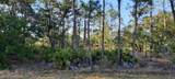 1012 Japonica Drive - Photo 3