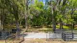 12345 Citrus Way - Photo 38