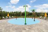 32978 Tulip Petal Lane - Photo 39