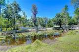 1120 Country Lane - Photo 65