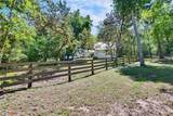 16420 Iola Woods Trail - Photo 67