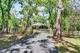 16420 Iola Woods Trail - Photo 70