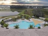 34293 Sorrel Mint Drive - Photo 32