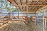 6709 Knights Griffin Road - Photo 10