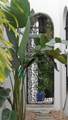 601 Bosphorous Avenue - Photo 45