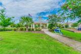 12775 Maple Bonsai Drive - Photo 81