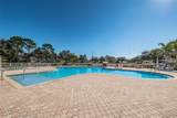 2629 Timacqua Drive - Photo 81