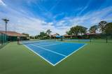 2629 Timacqua Drive - Photo 95