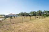 35853 Buttonweed Trail - Photo 48