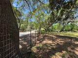  Tannahill Street - Photo 4