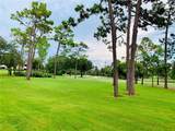 36750 Us Highway 19 - Photo 10