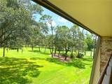 36750 Us Highway 19 - Photo 36