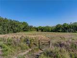  Acuff Road - Photo 12