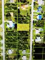 3335 Vasco Street - Photo 1