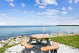 5000 Culbreath Key Way - Photo 47