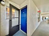 5537 Sea Forest Drive - Photo 3