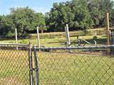 3101 Medulla Road - Photo 18