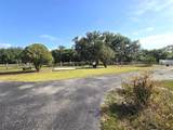 3101 Medulla Road - Photo 41