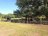 3101 Medulla Road - Photo 54
