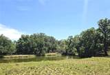3101 Medulla Road - Photo 59