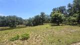 3101 Medulla Road - Photo 60