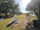 3101 Medulla Road - Photo 65