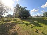 3101 Medulla Road - Photo 77