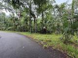  Coconut Cove - Photo 2