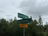  Coconut Cove - Photo 4