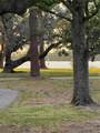 284 North Street - Photo 3