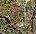 Lot #2 Coconut Cove Place - Photo 3