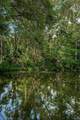 6423 Bass Road - Photo 31
