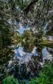 6423 Bass Road - Photo 36