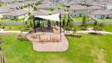 9907 Spanish Lime Court - Photo 59