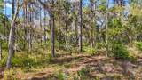 5631 Atlantis Way - Photo 25